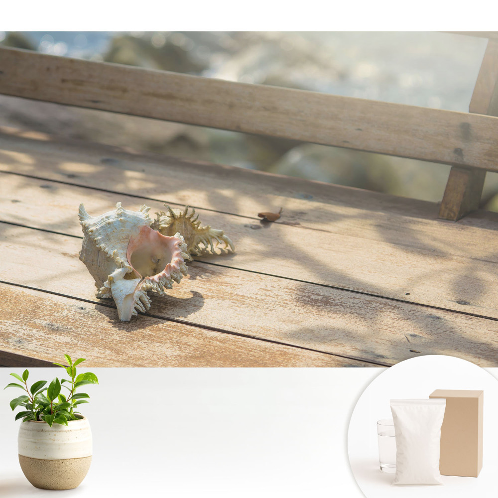 Tapeta Škrupina na drevenej lavičke