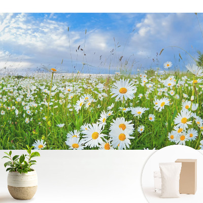 Tapeta do obývačky s motívom kvitnúcej lúky v lete