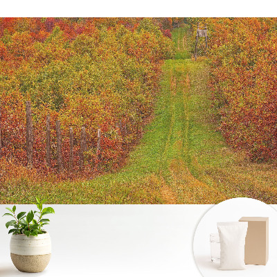 Tapeta na stenu s motívom jesennej cesty medzi farebnými stromami