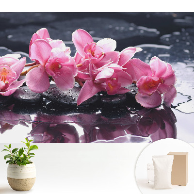 Tapeta Ružové orchidey na kameňoch