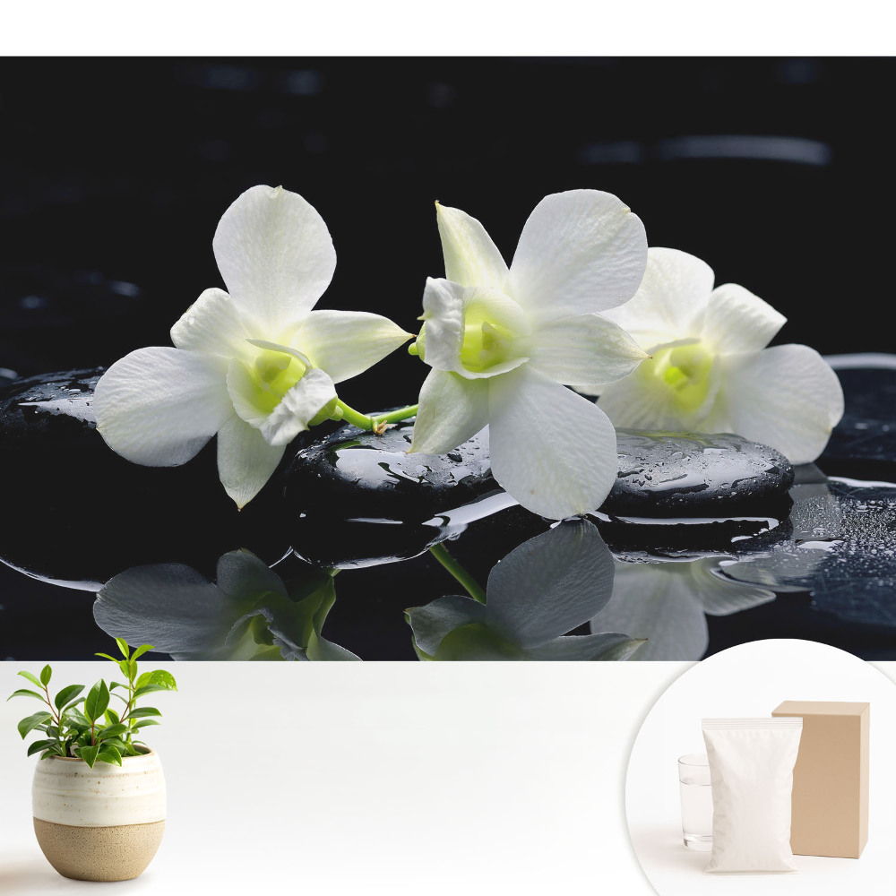 Tapeta do obývačky Biele orchidey na kameňoch.