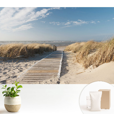 Tapeta do obývačky s motívom prímorského chodníka medzi dunami