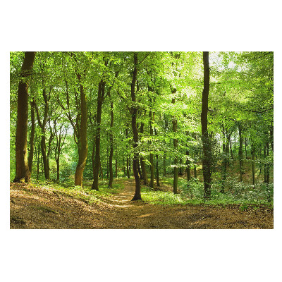 Tapeta s motívom čerstvého zeleného lesa