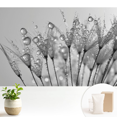 Tapeta do obývačky s motívom kvapiek na semienkach púpavy
