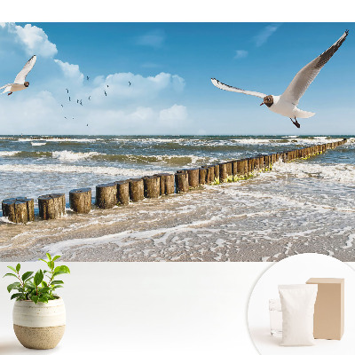 Tapeta na stenu Čajky nad morom
