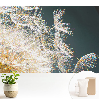 Tapeta do obývačky s motívom éterických semien krehkej púpavy