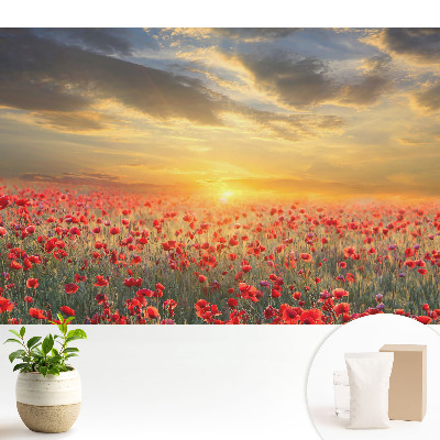 Luxusná tapeta Ranné pole makov s motívom úchvatného západu slnka