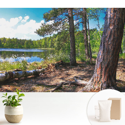 Tapeta na stenu Lesná krajina pri jazere, prírodný pokoj