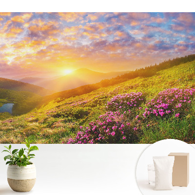 Tapeta do obývačky Kvety v horách pri západe slnka