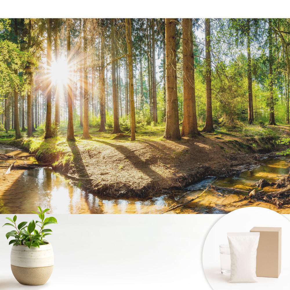 Tapeta do obývačky Žiariace slnko v lesnej krajine