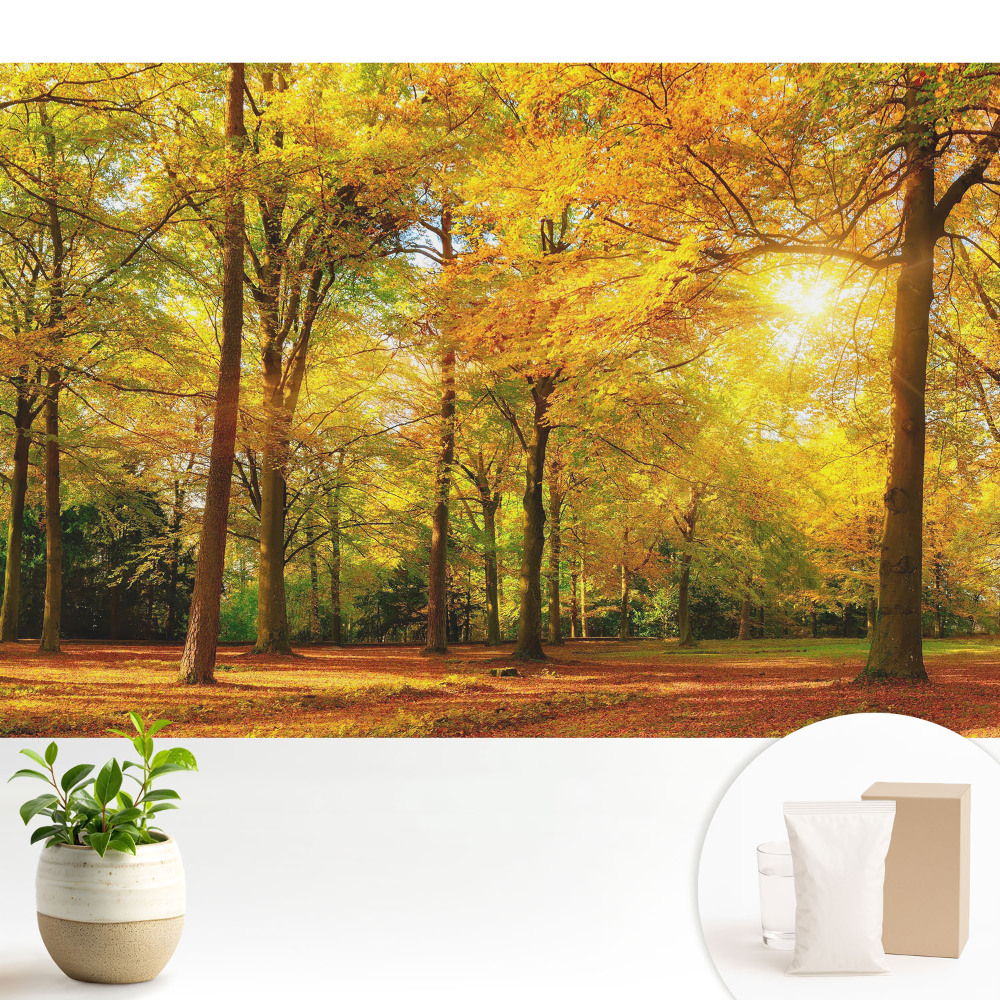 Tapeta na stenu Jesenná panoráma lesa plného farebných listov