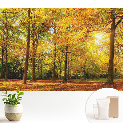 Tapeta na stenu s jesennou panorámou lesa plného farebných listov