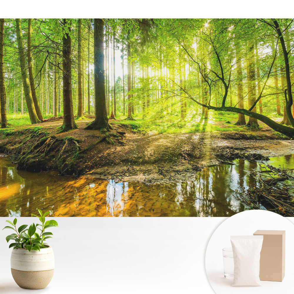 Tapeta Lesný pokoj, svetlo, potok