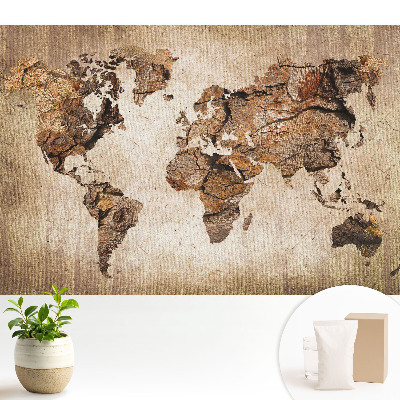 Tapeta na stenu s rustikálnou mapou sveta