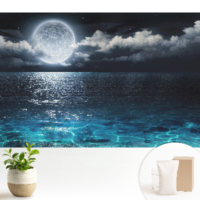 Tapeta Harmónia vody a oblohy v mesačnej krajine