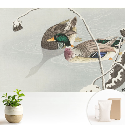 Tapeta do obývačky Dve kačice na vode v klasickom štýle
