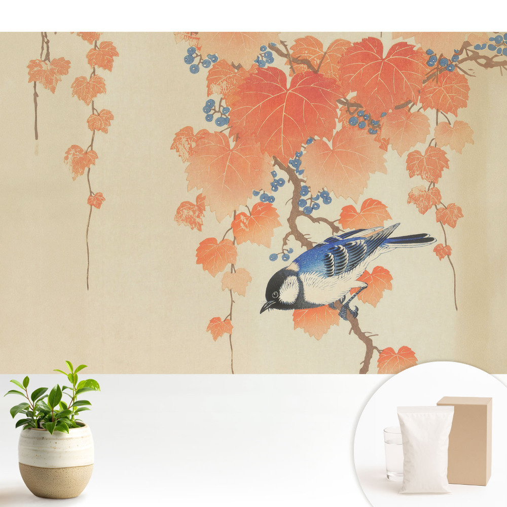 Tapeta do obývačky Vták na vetve viniča s bobuľami