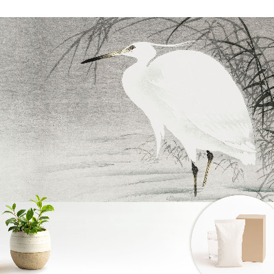 Tapeta Volavka na pozadí trstiny