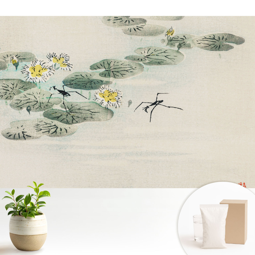 Tapeta do obývačky Lekná proti vode