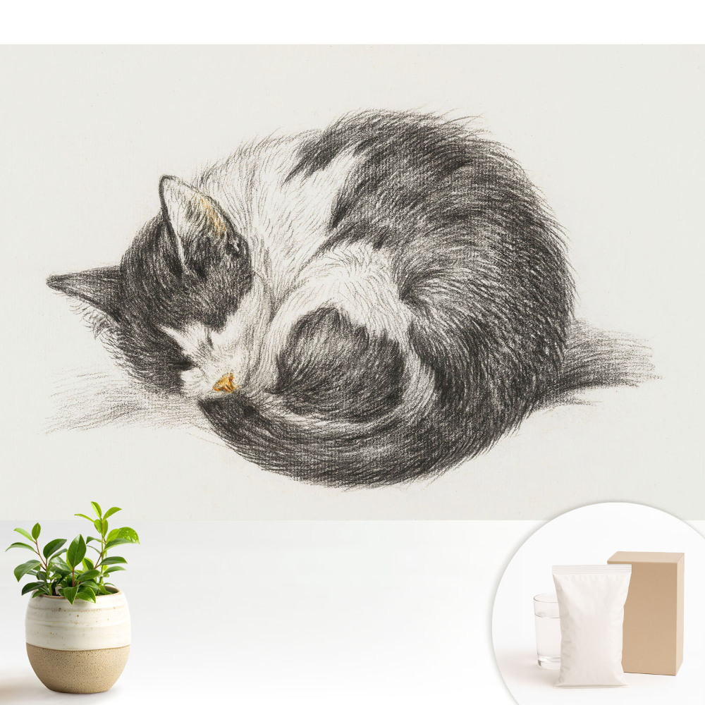 Luxusná tapeta Centrálna ilustrácia spiaceho mačiatka