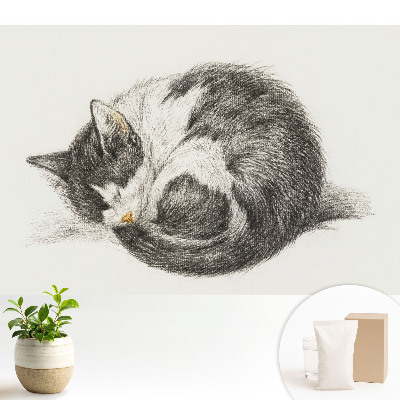 Luxusná tapeta s centrálnou ilustráciou spiaceho mačiatka