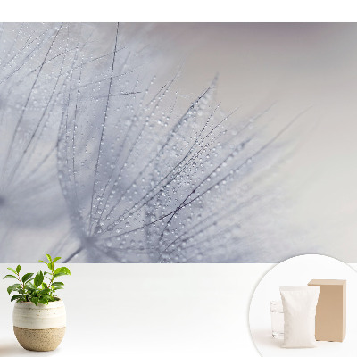 Tapeta do obývačky Makro kvapôčok na vláknach púpavy