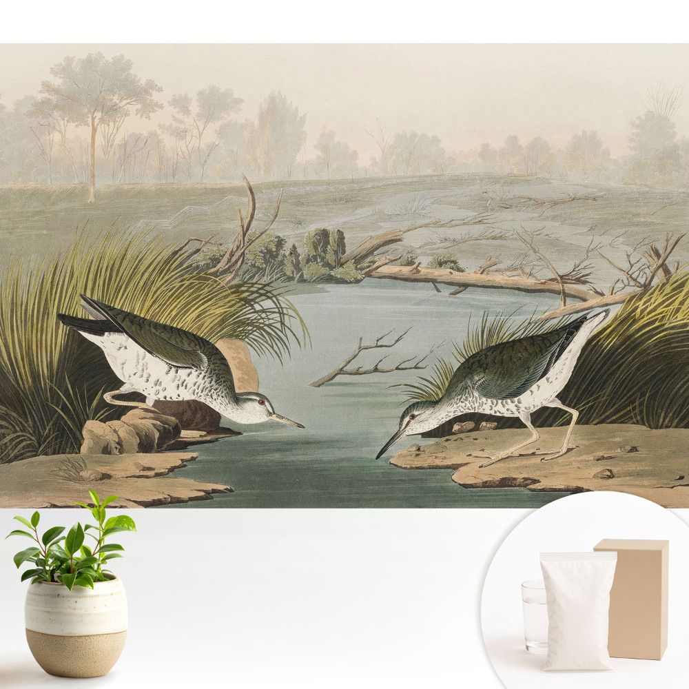 Tapeta na stenu Vtáky pri jazere, harmónia prírody