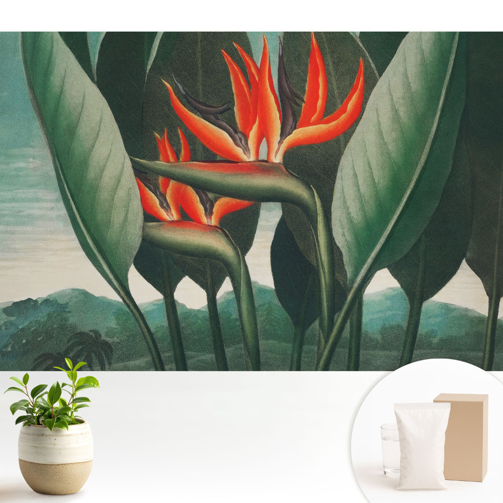 Tapeta Exotické rastliny na zelenom pozadí