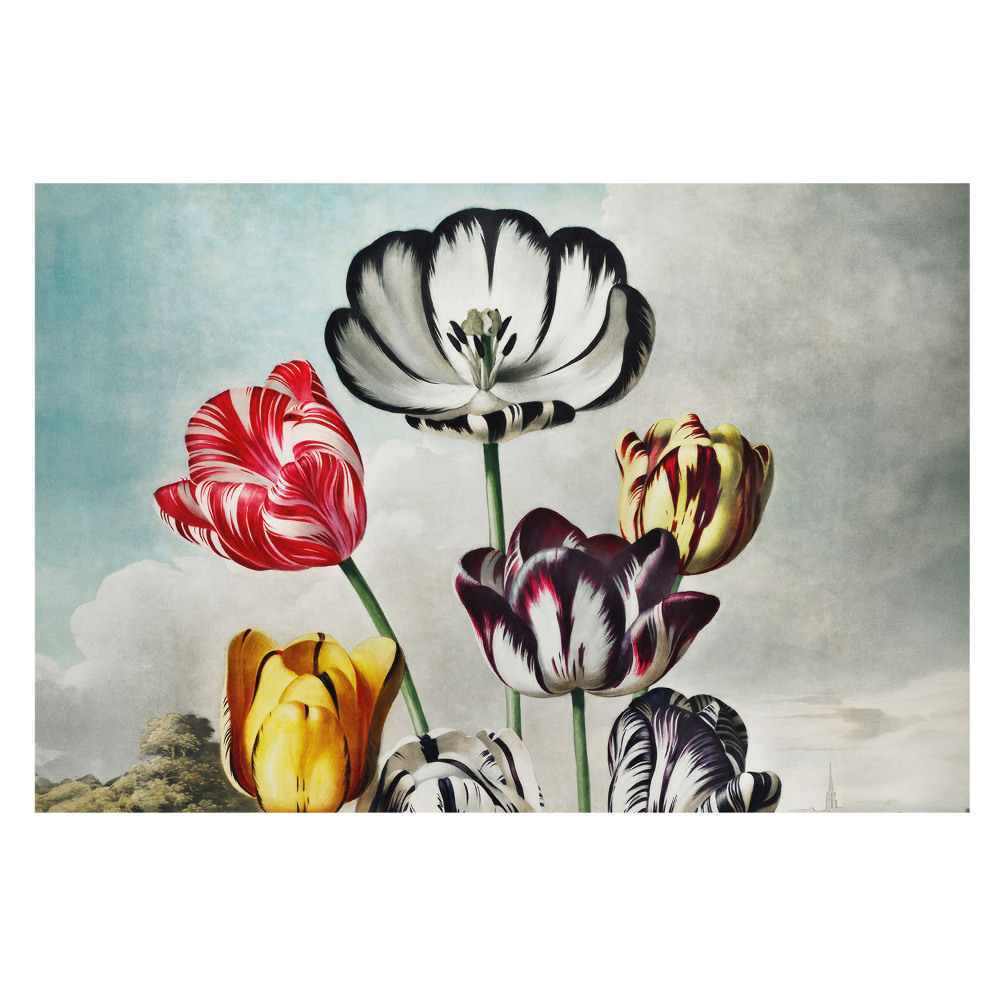 Tapeta na stenu s motívom kytice tulipánov v klasickej elegancii