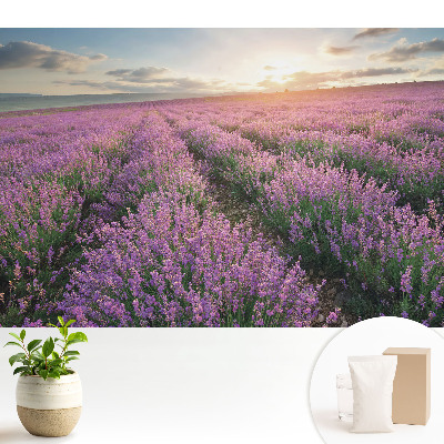 Tapeta na stenu s motívom fialového levanduľového západu slnka