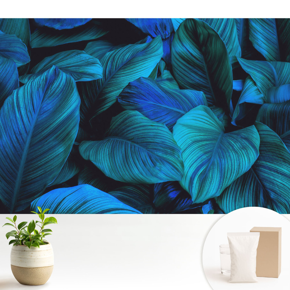 Luxusná tapeta Modré listy, hĺbka prírody