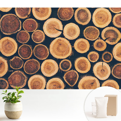 Tapeta do obývačky s rustikálnym dreveným motívom a prírodnou symetriou