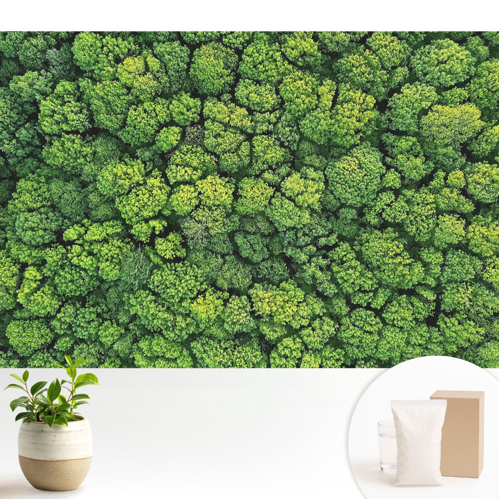 Tapeta do obývačky Zelený les zhora