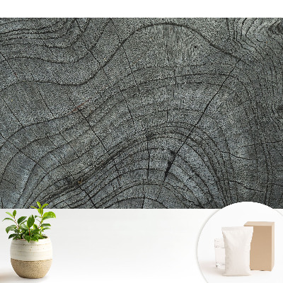 Tapeta na stenu Rustikálna symetria dreva