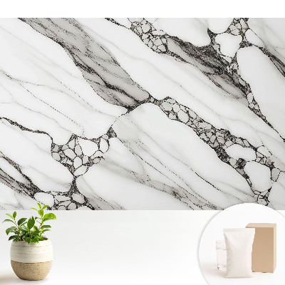Tapeta na stenu s motívom čiernych žíl na bielom kamennom pozadí