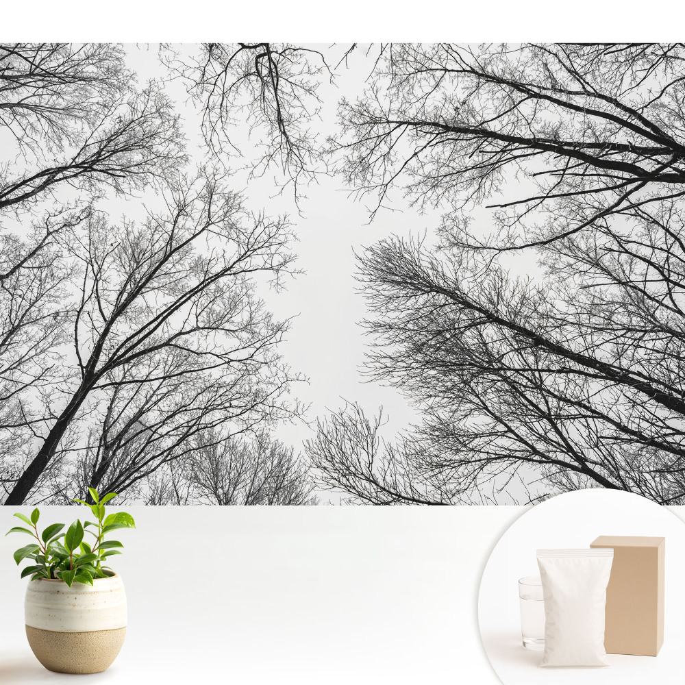 Tapeta do obývačky Čiernobiele zimné stromy