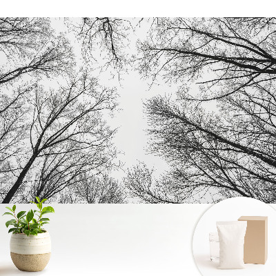 Tapeta do obývačky Čiernobiele zimné stromy