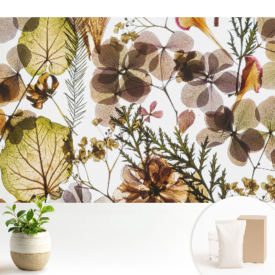 Luxusná tapeta so sušenými listami a kvetmi v boho štýle