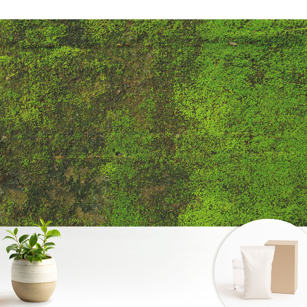 Tapeta do obývačky Organická textúra machu