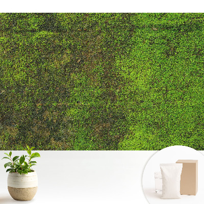 Tapeta do obývačky Organická textúra machu