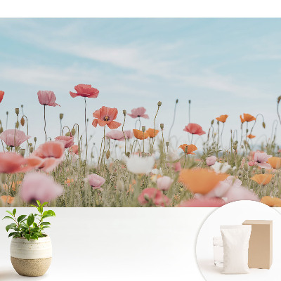 Luxusná tapeta Farebné vlčie maky proti modrej oblohe