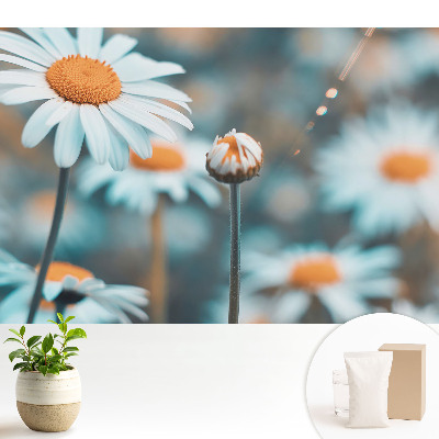 Tapeta na stenu s jemným motívom harmančeka evokujúcim pokoj