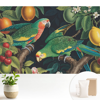 Tapeta do obývačky s exotickým motívom papagájov a ovocia