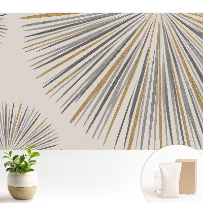 Tapeta na stenu Abstraktné vejárové čiary