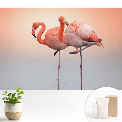 Tapeta na stenu Plameniaky na pastelovom pozadí