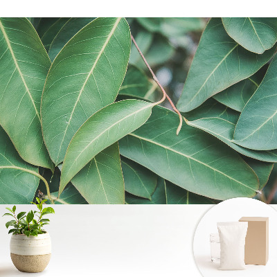 Tapeta v minimalistickom štýle so zelenými listami