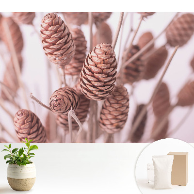 Tapeta na stenu s motívom šišiek v rustikálnom štýle