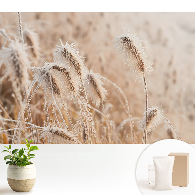 Tapeta na stenu Mráz na tráve zimná krása príroda