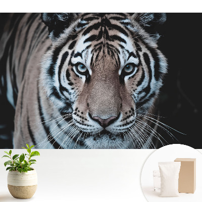 Tapeta Dynamická kompozícia magnetizujúceho tigra