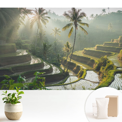 Tapeta Exotické ryžové terasy medzi palmami